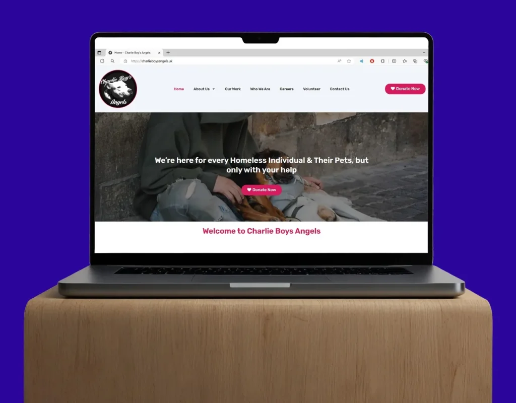 Charlie Boys Angels website design